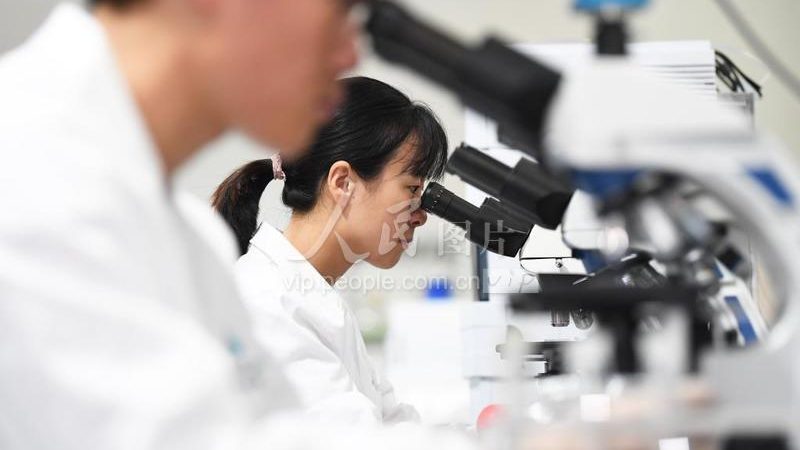 国产移液器：揭秘其背后的技术实力与市场格局**