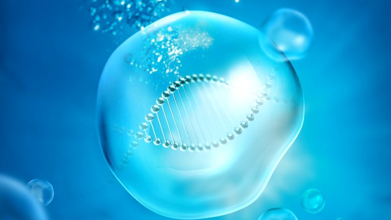 分子生物学试剂盒：规格分类与选购要点解析
