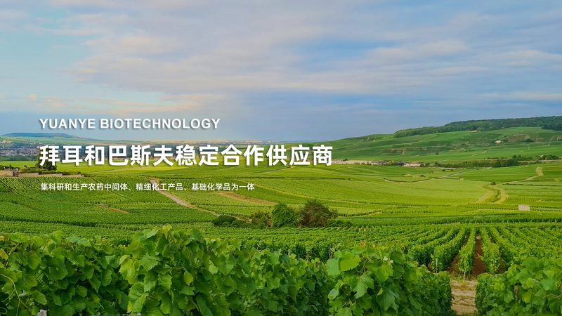 分子生物学试剂分类标准GB，揭秘行业规范与选择要点