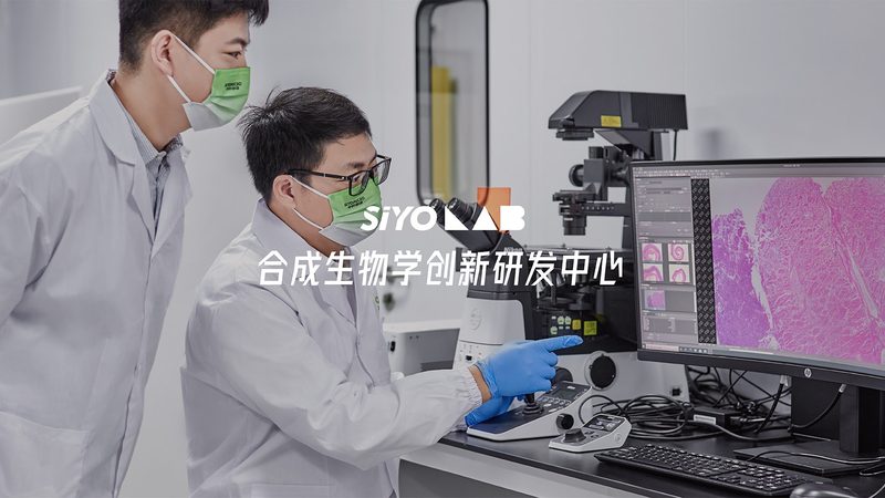基因检测产品分类及用途解析：解码生命奥秘的利器