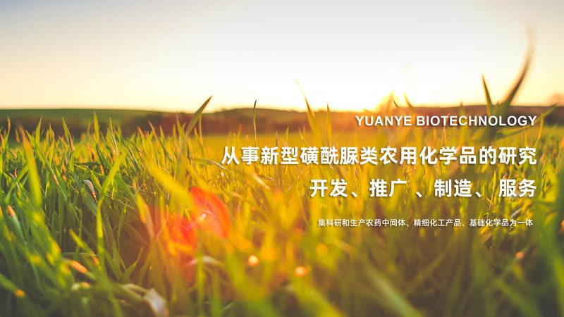 酶制剂储存避光，你做对了吗？**