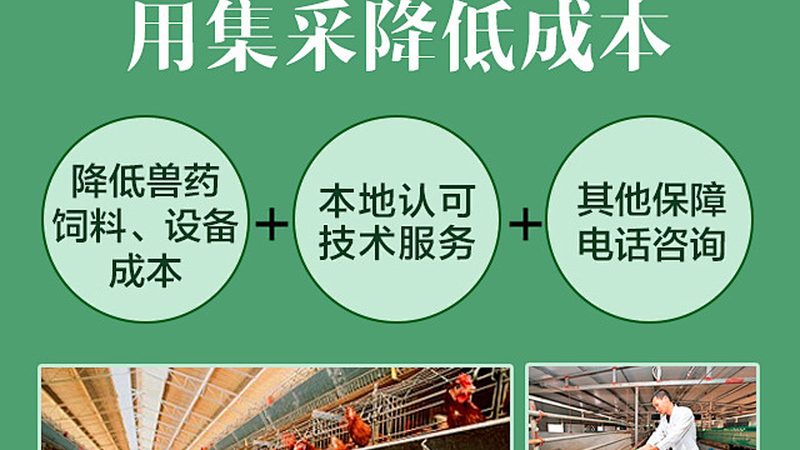 上海生物科技公司生物试剂批发：品质与合规的保障