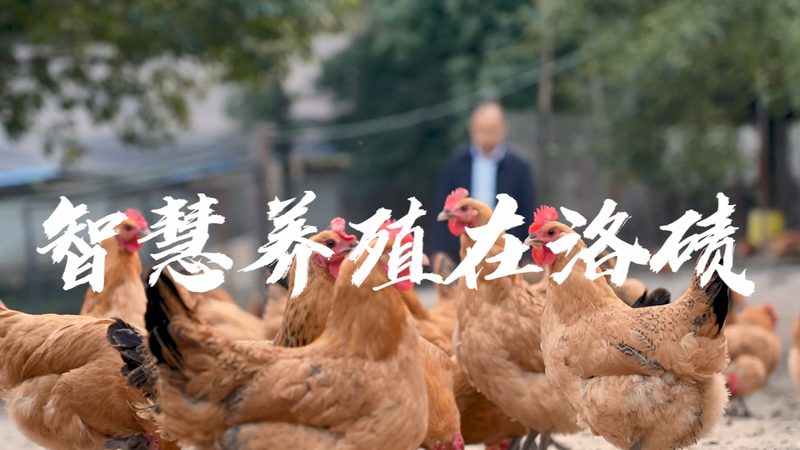 大分子药物冷链运输，这些关键点你了解吗？**