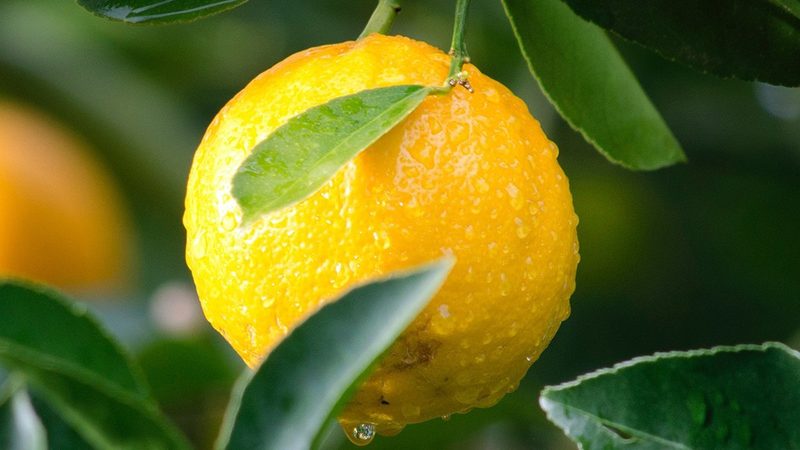 生物科技公司报价，如何精准把握价值与成本？**