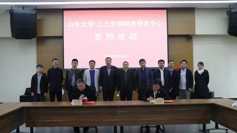 提升CRO转化率：揭秘高效转化背后的优化策略
