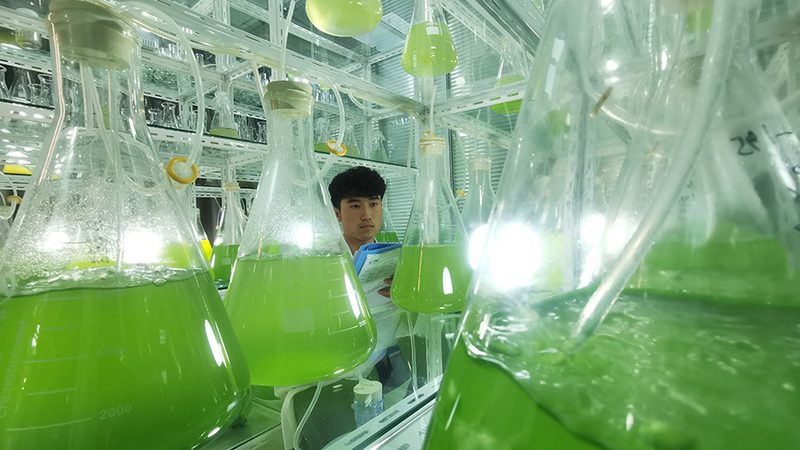 一个专业的细胞工厂安装公司，应该具备以下几方面的能力：